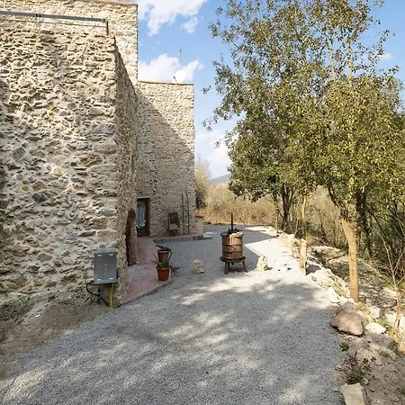 Fuggi Nel 2